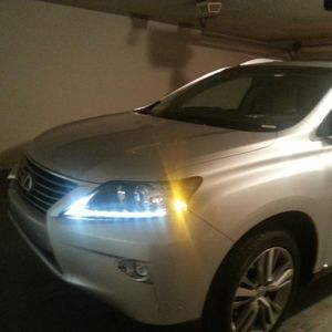 Meet your Posher, Natasha