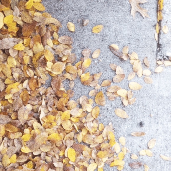 Meet your Posher, Erin - Picture 1 of 1