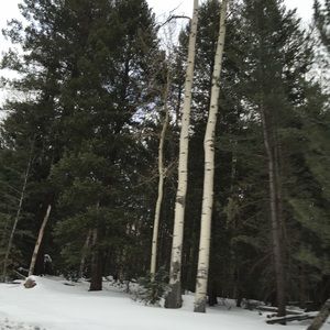 Meet your Posher, Mayra