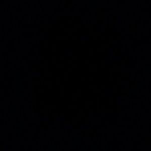 Meet your Posher, Nina