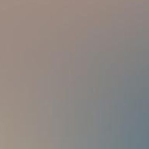 Meet your Posher, Rosa