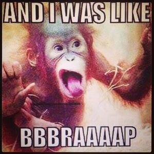 Meet your Posher, Jeff