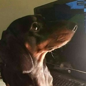 Meet your Posher, Charles