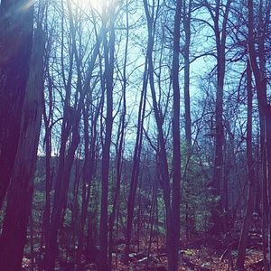 Meet your Posher, Payton