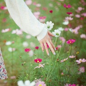 Meet your Posher, Cindy