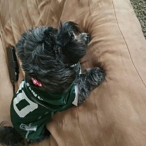 Meet your Posher, China