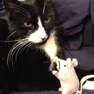 Meet your Posher, Mary