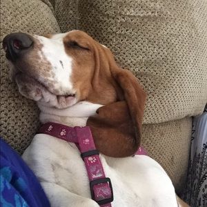 Meet your Posher, Terry