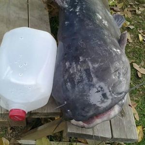 Meet your Posher, Timothy