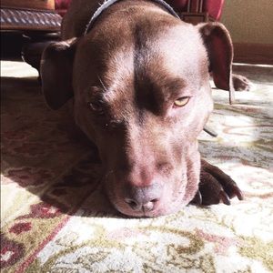 Meet your Posher, Corinne