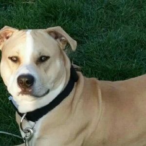 Meet your Posher, Sierra