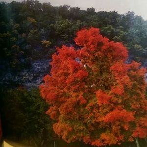 Meet your Posher, Judy