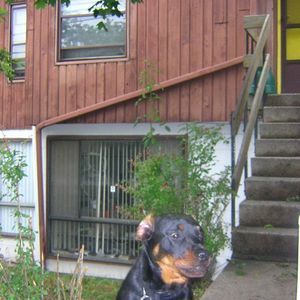 Meet your Posher, Keith