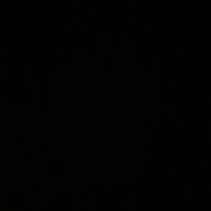 Meet your Posher, Giselle