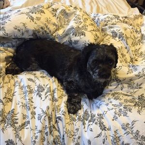 Meet your Posher, Annalisa