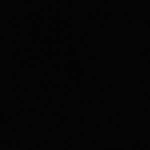 Meet your Posher, Shawn