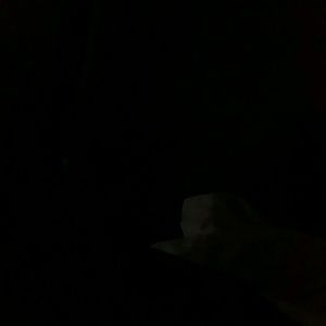 Meet your Posher, Deanna