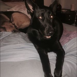 Meet your Posher, Grace