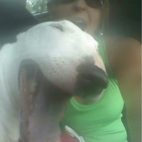 Meet your Posher, Kristina - Picture 1 of 1