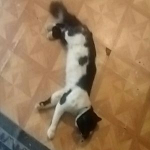 Meet your Posher, Gail