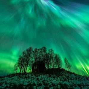 Meet your Posher, Jodi