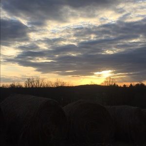 Meet your Posher, Sydney