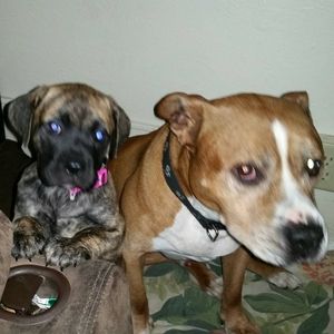 Meet your Posher, Bobbi