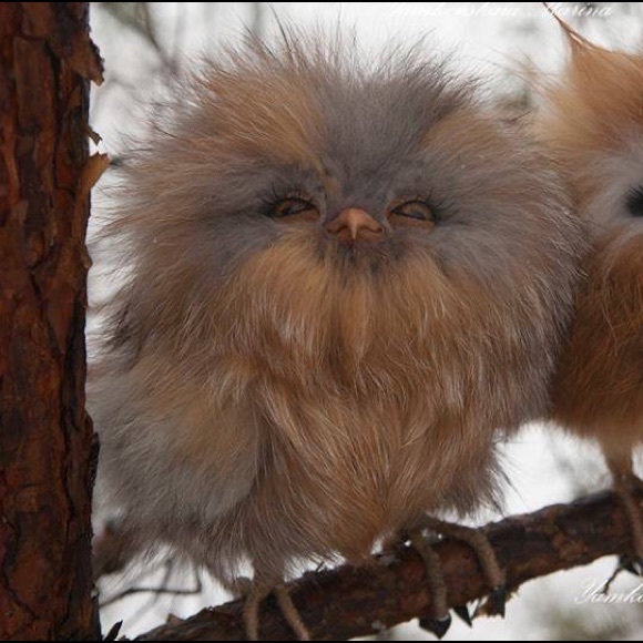 Meet your Posher, Jenna - Picture 1 of 1