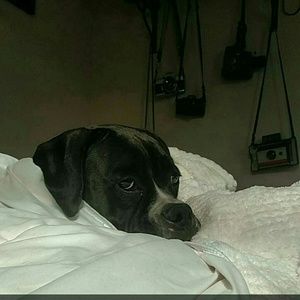 Meet your Posher, Stefany