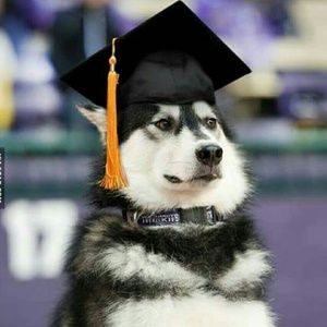 Meet your Posher, Richard