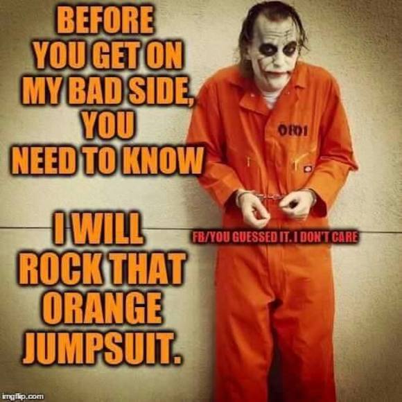 Meet your Posher, Arnold - Picture 1 of 1