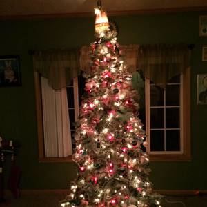 Meet your Posher, Nichole