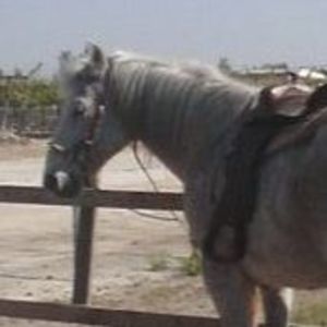 Meet your Posher, Saundra