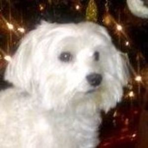 Meet your Posher, Deborah