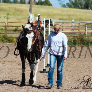 Meet your Posher, Joey