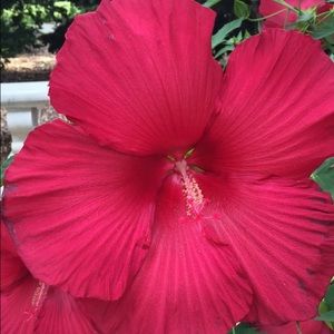 Meet your Posher, Ellie