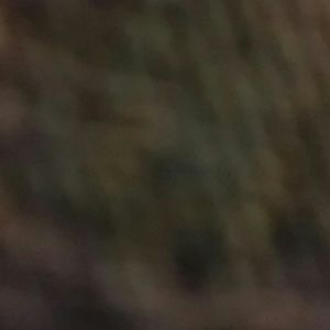 Meet your Posher, Karon