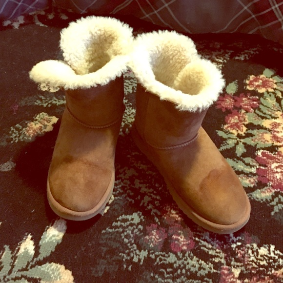Chestnut Uggs
