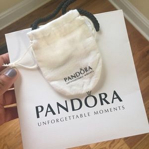 27.6" Pandora Sterling Silver ESSENCE Necklace