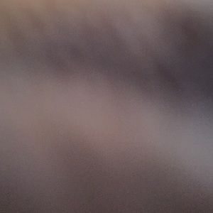 Meet your Posher, Justine