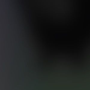 Meet your Posher, Sally