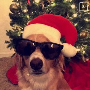 Meet your Posher, Matt