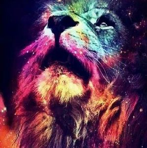 Meet your Posher, Sergio