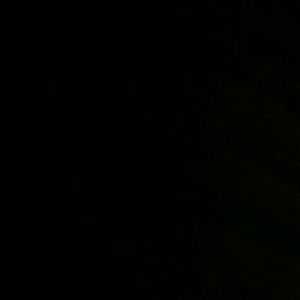 Meet your Posher, Nora