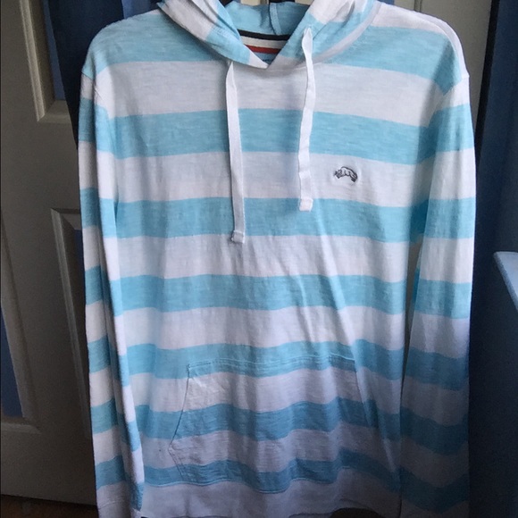 NWOT blue and white striped hoodie