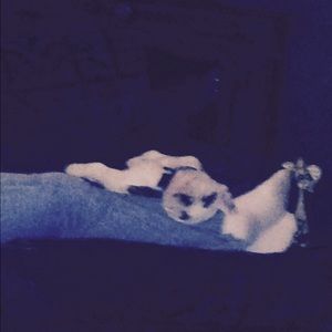 Meet your Posher, Jan