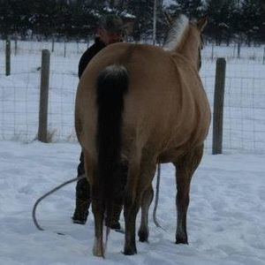 Meet your Posher, Mary