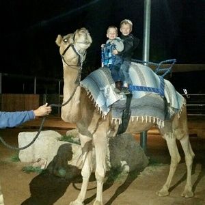 Meet your Posher, Sandra