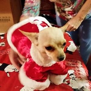 Meet your Posher, Karen