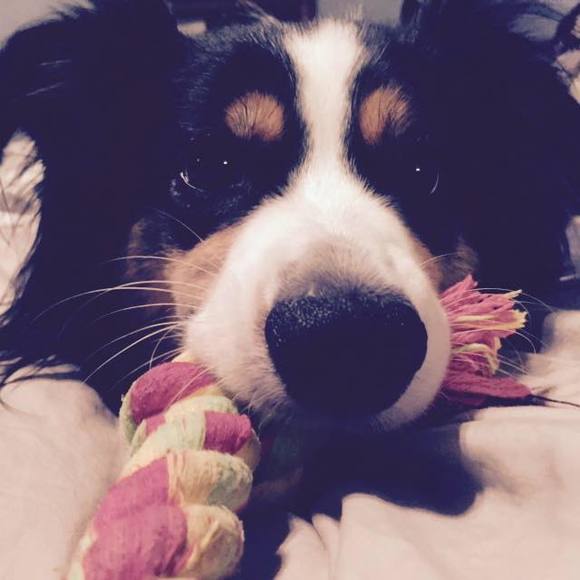 Meet your Posher, Jenifer